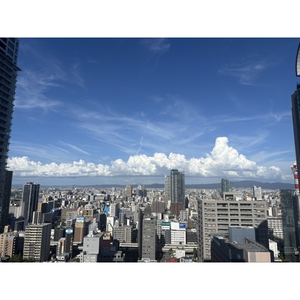ザ・ファインタワー梅田豊崎 その他画像