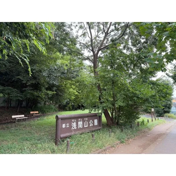 ベルジュール東府中カルム 浅間山公園(公園)まで約390m(徒歩5分)
