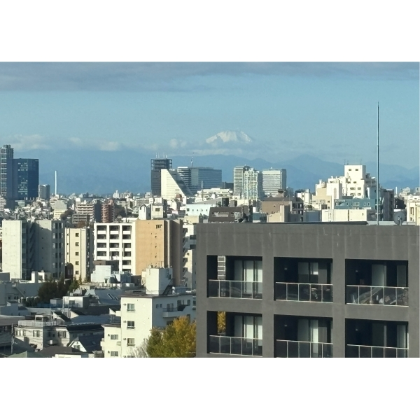 グランドミレーニア LDからの眺望