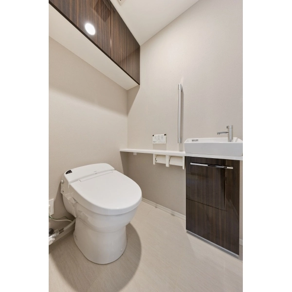 グランドミレーニア トイレ