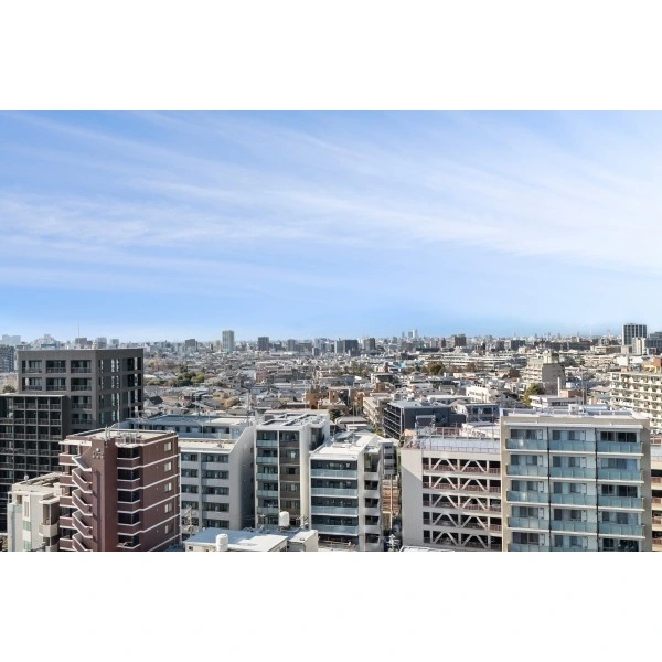 グランドミレーニア リビングからの眺望