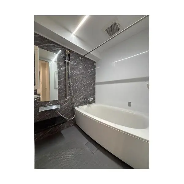 グランドメゾン本郷三丁目 その他画像