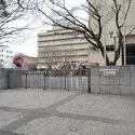 ライオンズステーションタワー松戸 聖徳大学附属幼稚園（幼稚園・保育園）まで約450m（徒歩6分）
