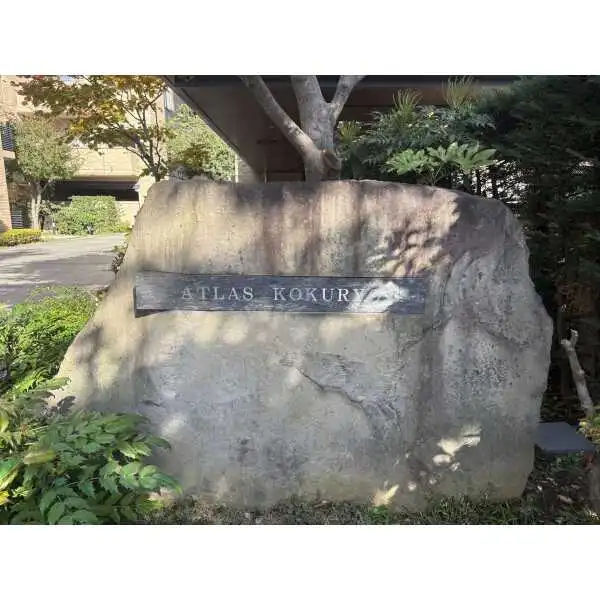 アトラス国領サウスタワーＨ棟 その他画像