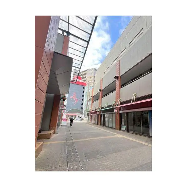 キャメリア その他画像