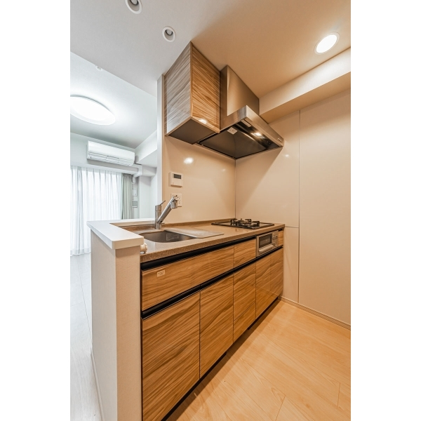 クレヴィア日暮里　ＴＨＥ　ＲＥＳＩＤＥＮＣＥ その他画像