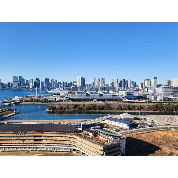 ブリリア有明スカイタワー その他画像