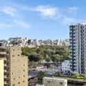 プラウドタワー清澄白河 眺望：ズームあり、木場公園(撮影年月：2026年10月)