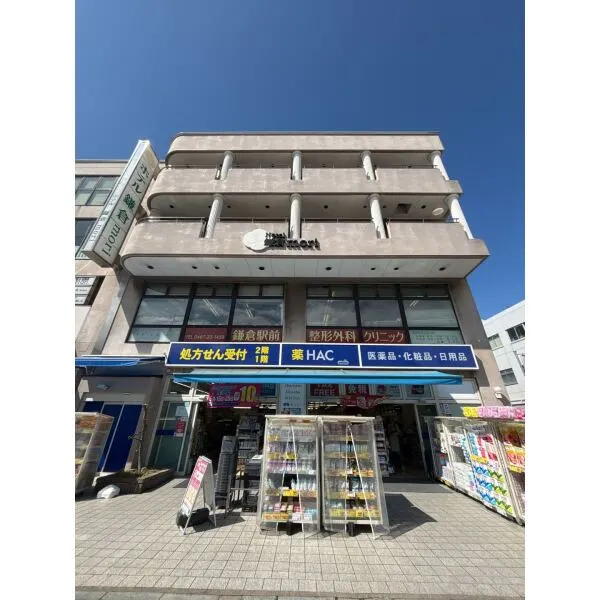 鎌倉市雪ノ下３丁目 ハックドラッグ鎌倉店（ドラッグストア）まで約1200m（徒歩15分）