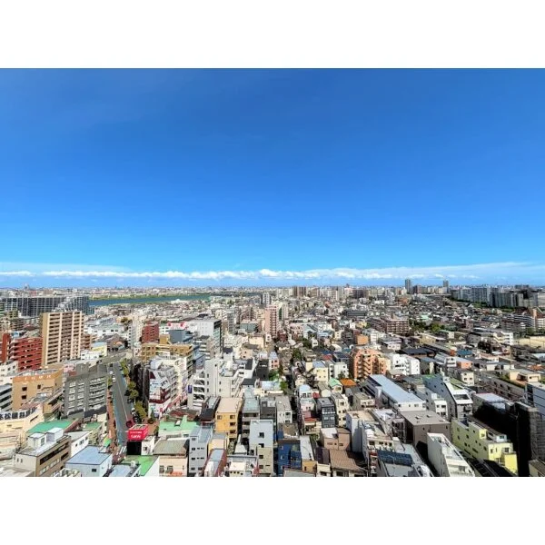 ビューネタワー平井 その他画像