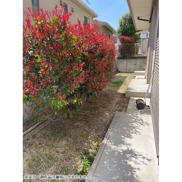 西宮市甑岩町 庭