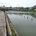 大田区上池台３丁目 小池公園（公園）まで約390m（徒歩5分）
