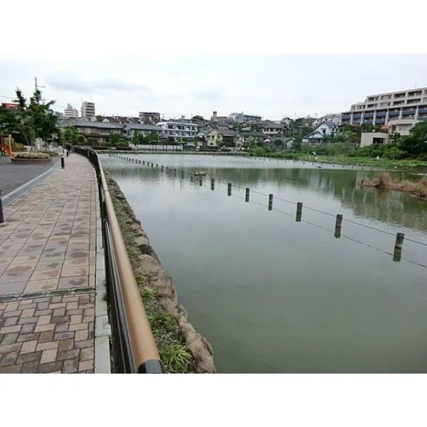 大田区上池台3丁目 小池公園(公園)まで約390m(徒歩5分)