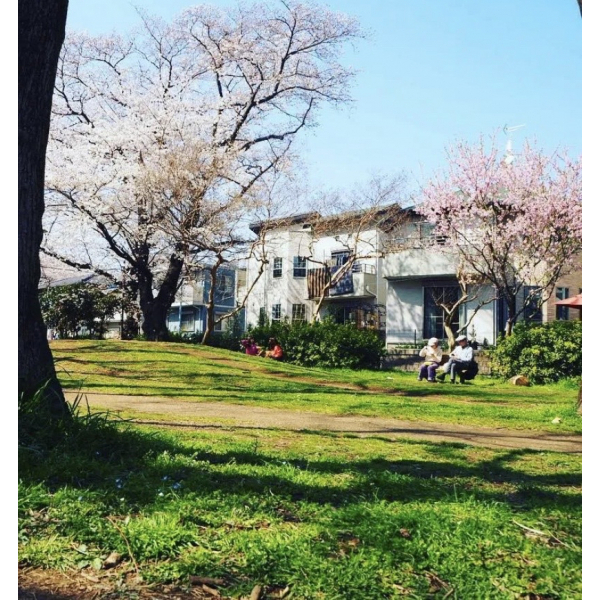 詳細を見る
