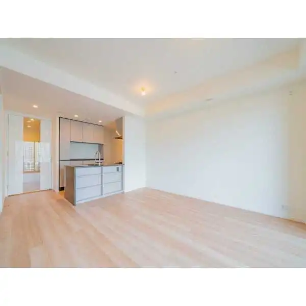 ＨＡＲＵＭＩ　ＦＬＡＧ　ＰＡＲＫ　ＶＩＬＬＡＧＥ晴海フラッグＴ棟 その他画像