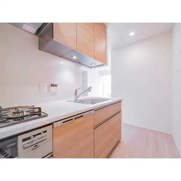 白金ザ・スカイＥＡＳＴ棟 その他画像