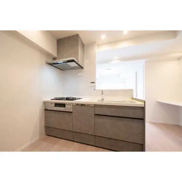 エスペランサ綾瀬 その他画像