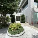 パークタワー池袋イーストプレイス エントランスアプローチ