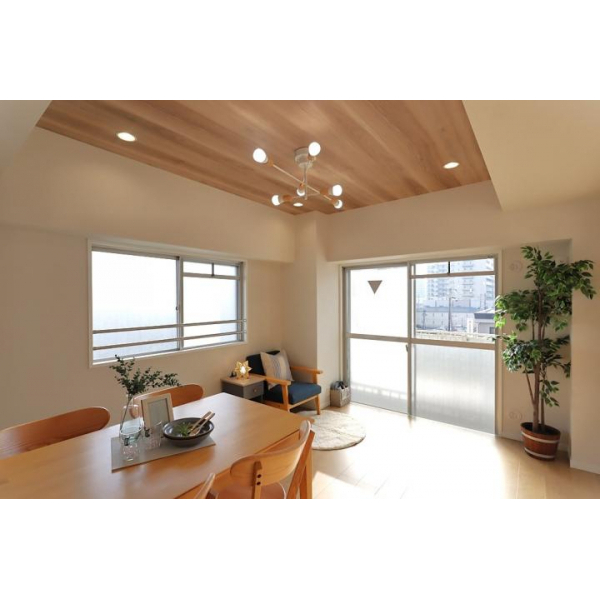 ダイアパレス三国2号館 その他画像