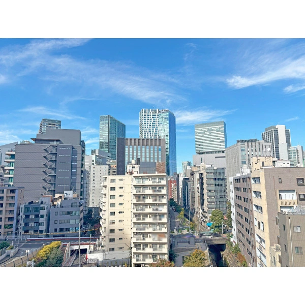 ライオンズマンション渋谷シティ その他画像