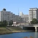 日商岩井亀戸マンション 総戸数393戸の大規模マンションです。