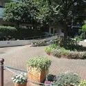 日商岩井亀戸マンション エントランス前は広々としており自然が豊かです。