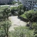 日商岩井亀戸マンション 敷地内に大きな中庭があり、ゆったりとした時間を過ごせます。
