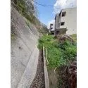 流山市鰭ケ崎１丁目 その他