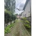 三鷹市大沢２丁目 南側緑道