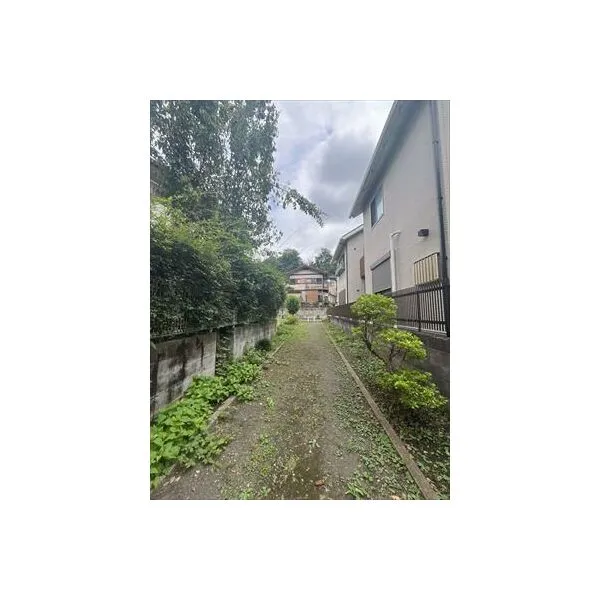 三鷹市大沢２丁目 南側緑道
