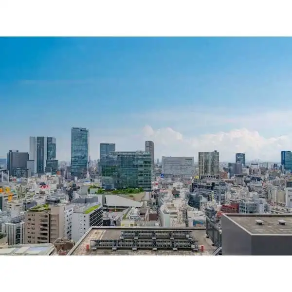 パークコート渋谷ザタワー その他画像