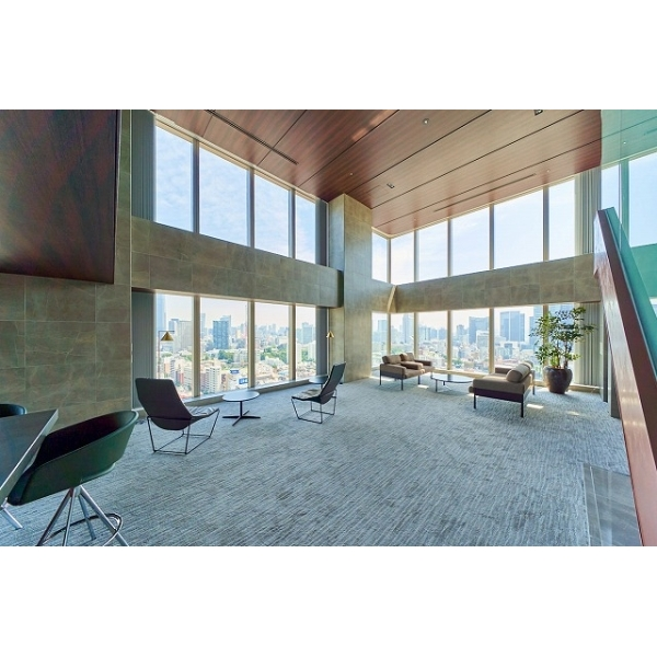 白金ザ・スカイ東棟 その他画像