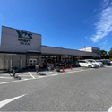 習志野市袖ケ浦６丁目 ワイズマートワイズディスカ香澄店（スーパー）まで約730m（徒歩10分）