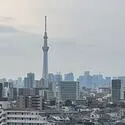 ガーデンプラザ柴又弐番館 共用階段からスカイツリーが望めます。（気象条件による）