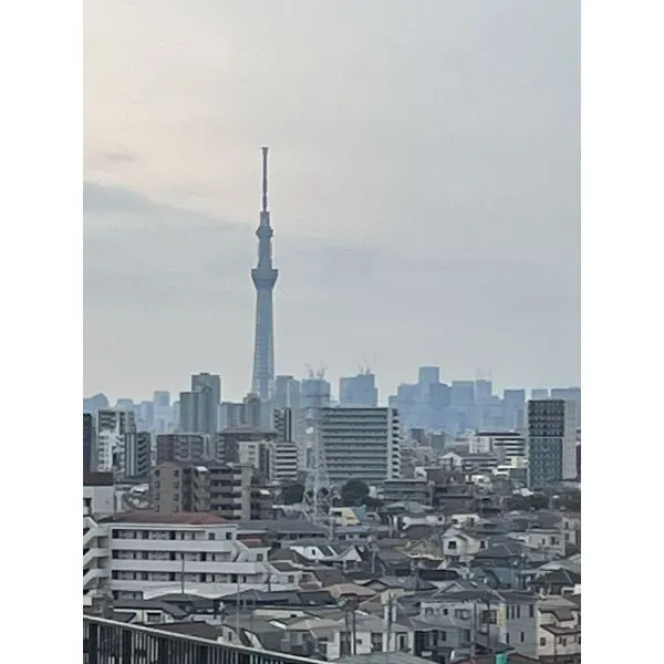 ガーデンプラザ柴又弐番館 共用階段からスカイツリーが望めます。（気象条件による）