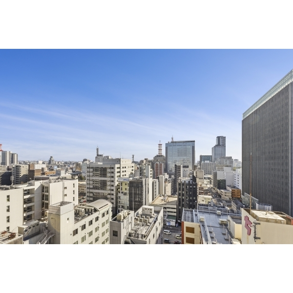 ザ・センチュリーステイツ バルコニーからの眺望