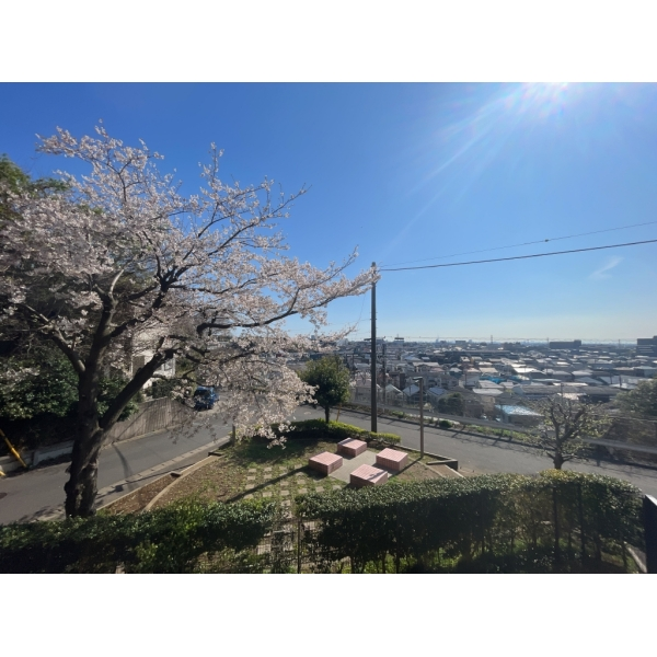 ライオンズヒルズ新松戸 玄関ポーチ