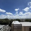ザ・ライオンズ大宮ウェリスレジデンス 氷川参道の緑を望める眺望です