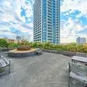 ザ・レジデンス白金スイート 共用施設：屋上庭園