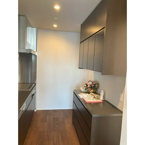 ＴＨＥ　千代田麹町　ＴＯＷＥＲ その他画像