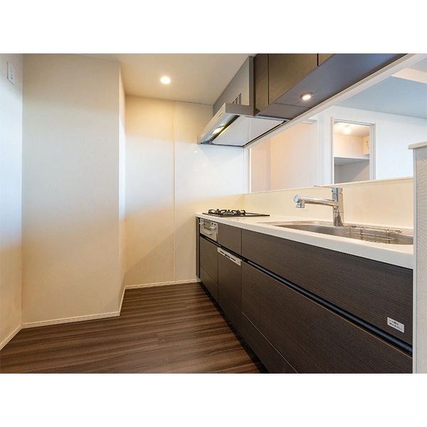 ブリリア有明シティタワー(Brillia有明CityTower) その他画像