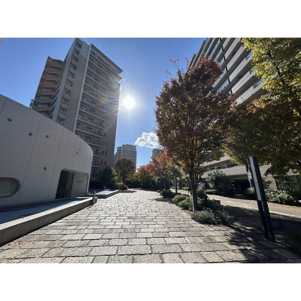 ミリカ・テラスＩＩＩ街区 その他画像