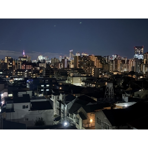 文京区目白台１丁目 その他画像