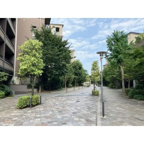 アトラス調布南棟(光の棟) 四季折々の街路樹が居住者を出迎えます