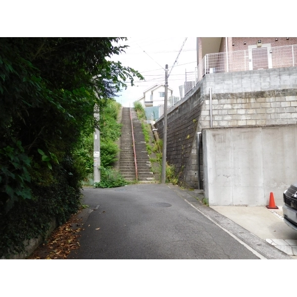 アザーレ・パッシオ百合ヶ丘Ａ 前面道路
