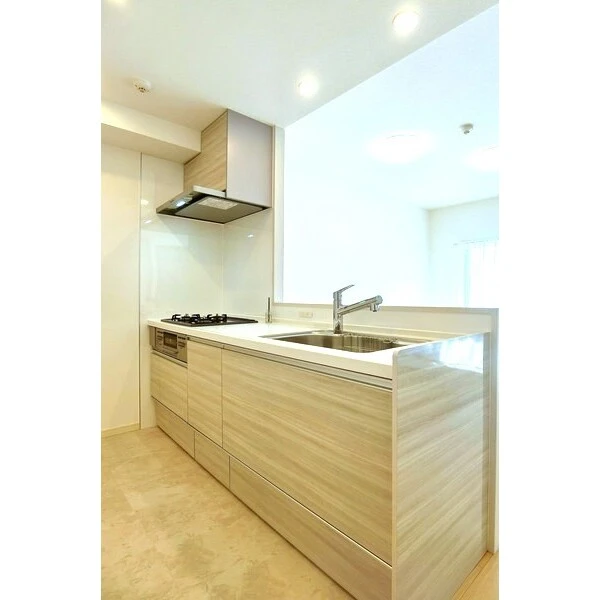 ダイアパレス幕張 その他画像