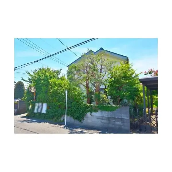 相模原市中央区淵野辺本町１丁目 外観