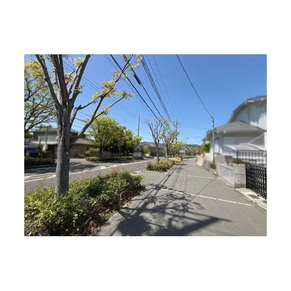 高槻市寺谷町 その他画像