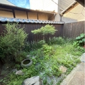 京都市上京区加賀屋町 庭（北側）