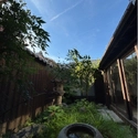 京都市上京区加賀屋町 中庭